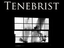 Tenebrist