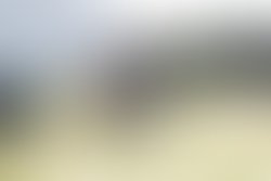 1341345515 712r7855