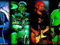 Darwins God
