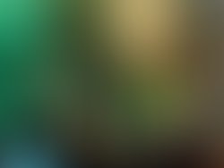 Img 20250820 200050215 hdr