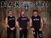Black Sheep