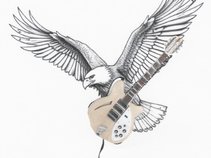 The Notorious Byrds (A Byrds Tribute Band)