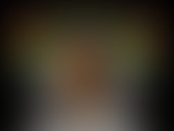 Flava lion 1283540205