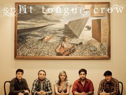 Image for Split Tongue Crow