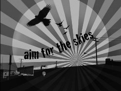 Image for Aim For The Skies