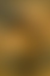 File 000000005cc8722fbf86c582e10ccc18