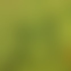 Artist 6618741 1577823624