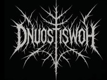 Dnuostiswoh