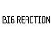 Big Reaction