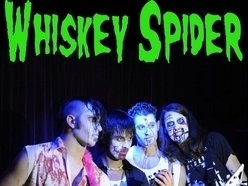 Whiskey Spider