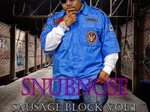 snub nose