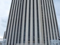 The Herman League Project