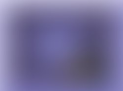 1372817282 pigmydmm6