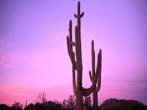 THE UNITED STATES OF COCA RICO  {POWER ISN'T EVERYTHING IT'S THE ONLY THING}