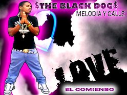 Image for The Black Dog