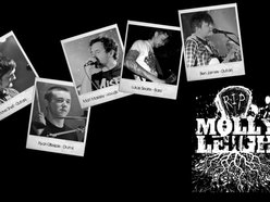 Image for Molly Leigh