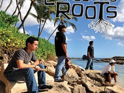 Conscious Roots