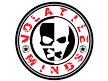 VOLATILE MINDS
