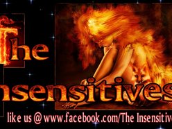 Image for The Insensitives