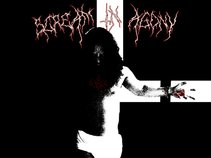 Scream In Agony