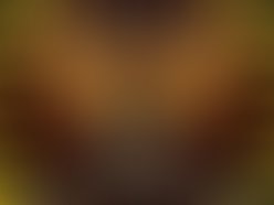 Bama black logo final 1297396032 1297396083