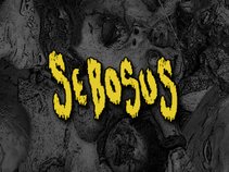 Sebosus