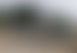 Artist 977289 1532888722