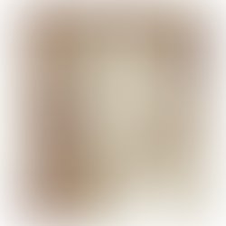 10686790 744916332210894 3439010358556632327 n