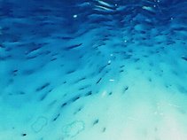 The Coming of Essence