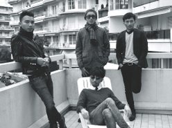 Image for The Young Liars