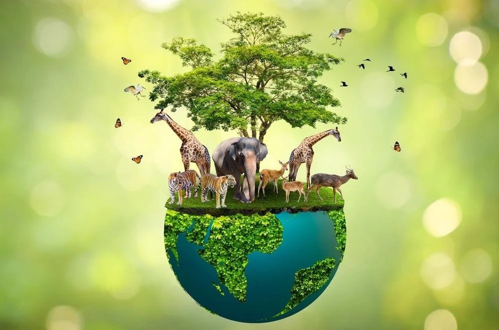 ReverbNation profile picture for @biodiversity