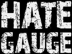 Image for Hate Gauge