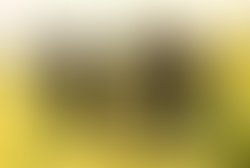 1307363932 dsc 0137edit