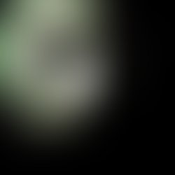 Artist 9789819 1776729340