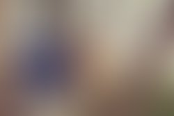 1433967064 tree shot