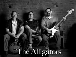Image for The Alligators