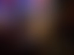 2017 1 13 a s msm s perl photos20