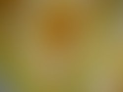 Dscn0005