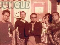 The Jungle