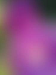 Img 20260522 162823758