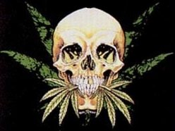 Image for The Hashishans