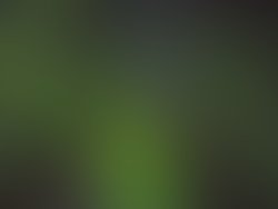 Dscn0533