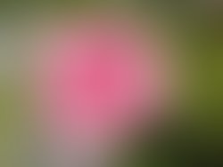 Img 20260521 123152520