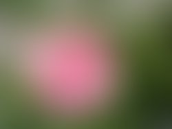 Img 20260521 123141453 hdr