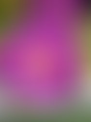 Img 20260522 162816561 hdr