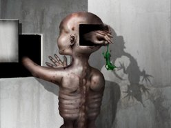 Image for Lizard Professor
