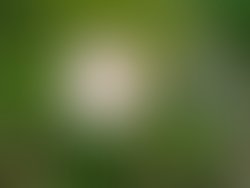 Img 20260607 183107906