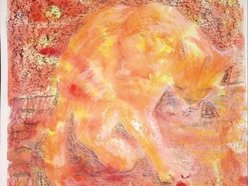 Kitty Angel