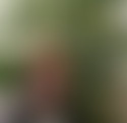 Screenshot 20260614 074955 1 