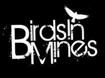 Birds in Mines